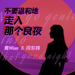 Not Go Gentle Into That Good Night（不要温和地走入那个良夜）