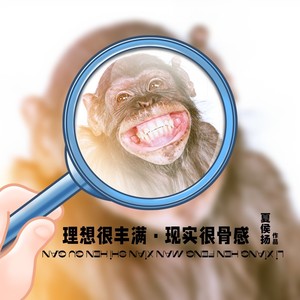 理想很丰满现实很骨感