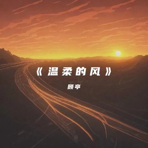 温柔的风