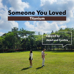 Someone You Loved X Titanium (Mashup Cover)