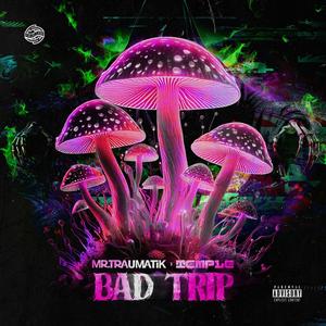 Bad Trip (Explicit)