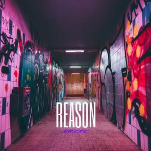 Reason (Explicit)