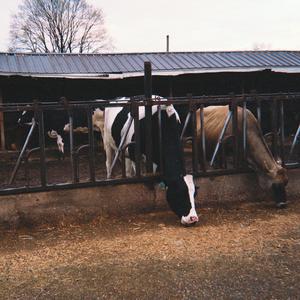 Passing By (feat. Waydi)