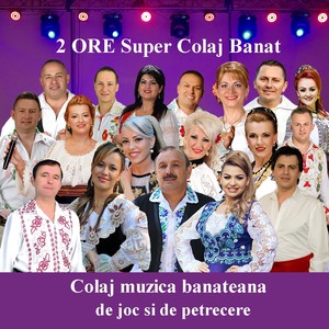 2 ORE super colaj Banat (Muzica Din Banat, Colaj muzica banateana de joc si de petrecere)