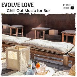 Evolve Love - Chill Out Music For Bar