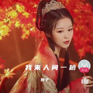 我来人间一趟