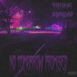 No Tomorrow Promised (feat. Elendae) [Explicit]