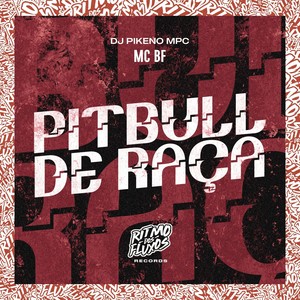Pitbull de Raça (Explicit)