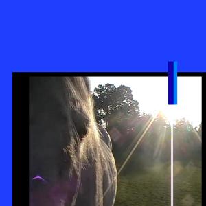 bleus chevals (Explicit)