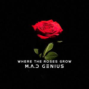 Where The Roses Grow (Radio Edit)