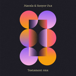 Testament (Remix)