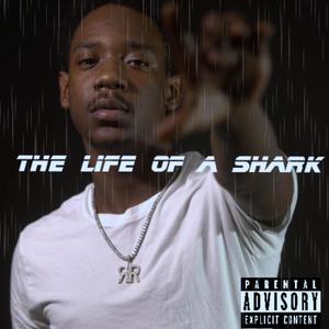 The Life Of A Shark (Explicit)