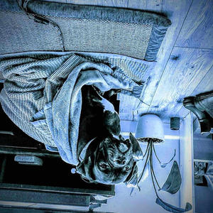 2 Hearts (Remastered)