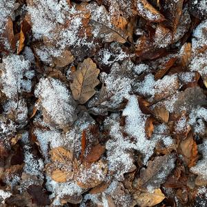 Lace It Up (feat. ca$hkaz archived & Killean Archived) (Explicit)