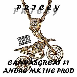 Pricey (Explicit)