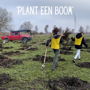 Plant Een Boom