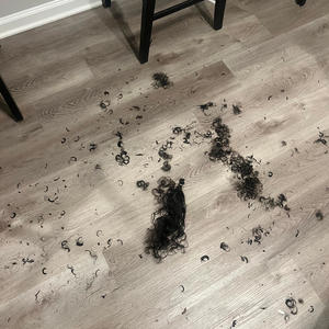 Us (feat. Quanbinladen) (Explicit)