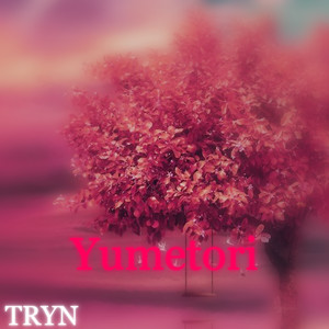 Yumetori