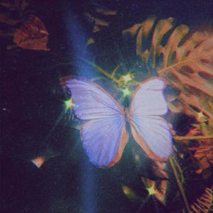 Butterflies (feat. Goth GloPJ) [Explicit]