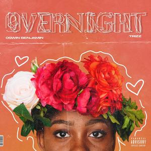 Overnight (feat. Alex Ervington) [Explicit]