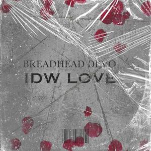 IDW LOVE (Explicit)