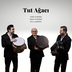 Tut Ağacı