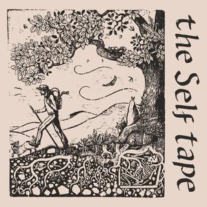 iii) Self-compassion