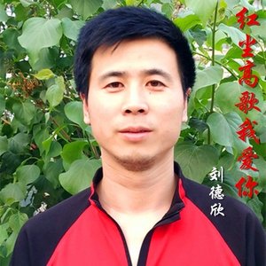 红尘高歌我爱你