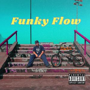 Funky flow (Explicit)