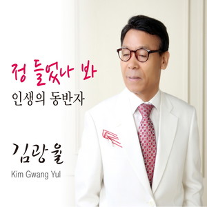 김광율 (정 들었나 봐/인생의 동반자)