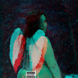 Shake It For A Thug (She Don't Do It For The Love) (Explicit)
