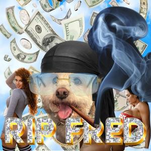 Shining Star (feat. Farber)