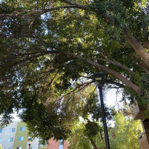 This Side of The Dirt demo