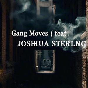 Gang Moves (feat. JOSHUA STERLNG) [Special Version] [Explicit]