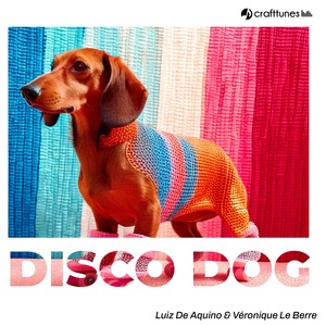 Disco dog