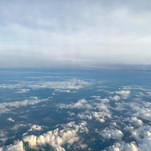 cherub (feat. teirusuuu)