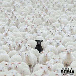 BLACK SHEEP (Explicit)