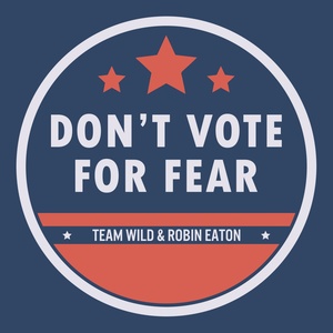 Don't Vote for Fear