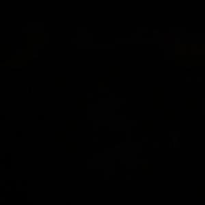 FRAMED (Young’s Version)