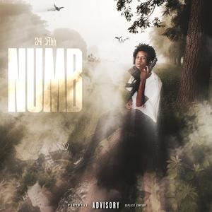 Hands Up (feat. Pnut2Playa, Lil Dame & Luh Muny) (Explicit)