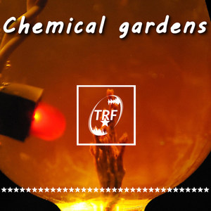 Chemical Gardens