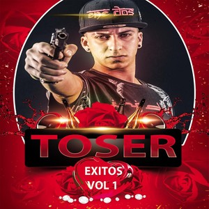 Exitos Vol 1