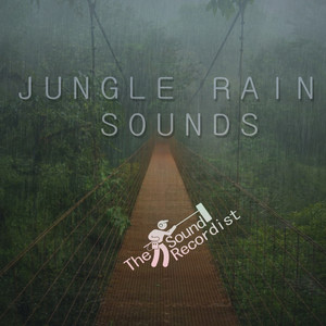 Jungle Rain Sounds