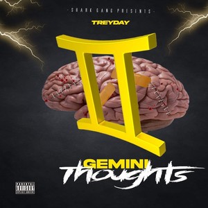 Gemini Thoughts (Explicit)