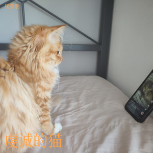 K歌之王-崔黎明
