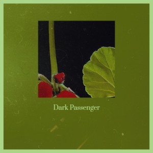 Dark Passenger