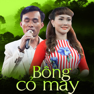 Bông Cỏ May