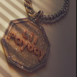 Wild Life (Explicit)