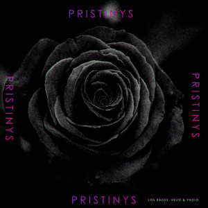 Pristinys