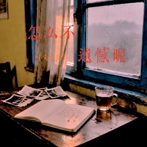 怎么不遗憾呢 (走心版)